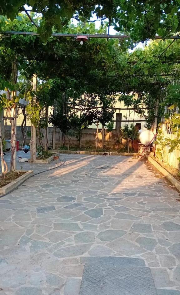 Pensjonat Elira House Rrashbull