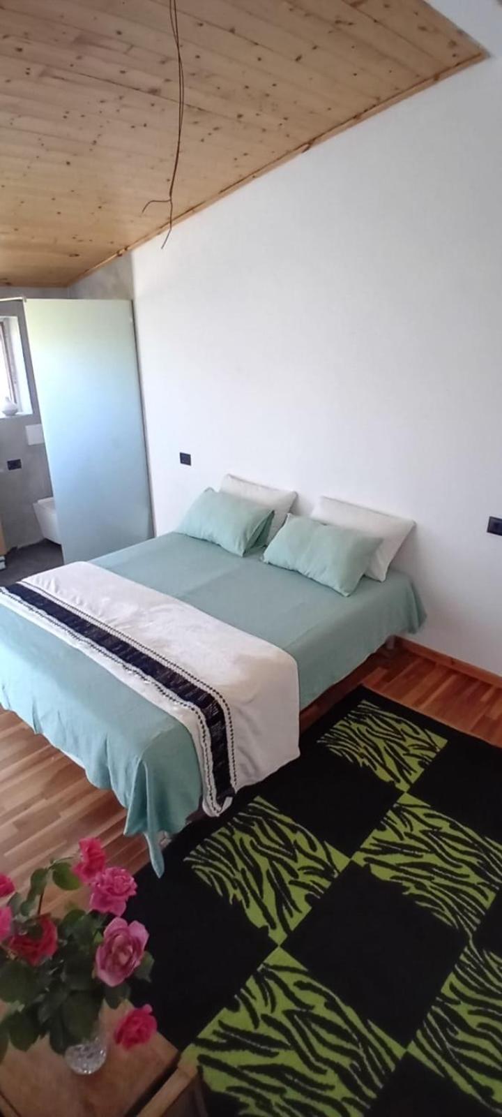 Elira House Pensjonat Rrashbull